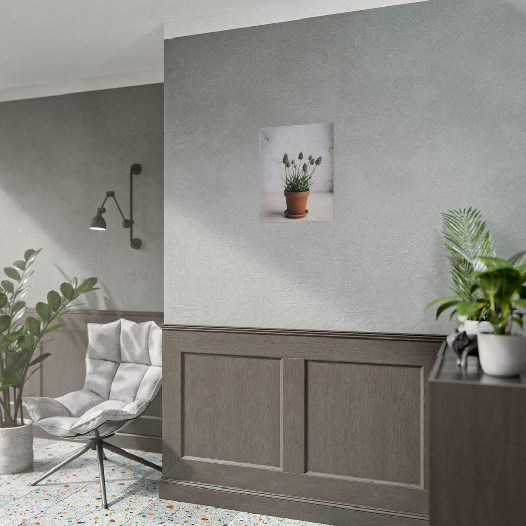 Potted Alpine Dodgegrass Wall Art – Poster