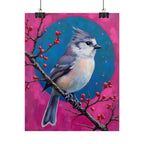 Blue jay on a holly branch Wall Art - Poster