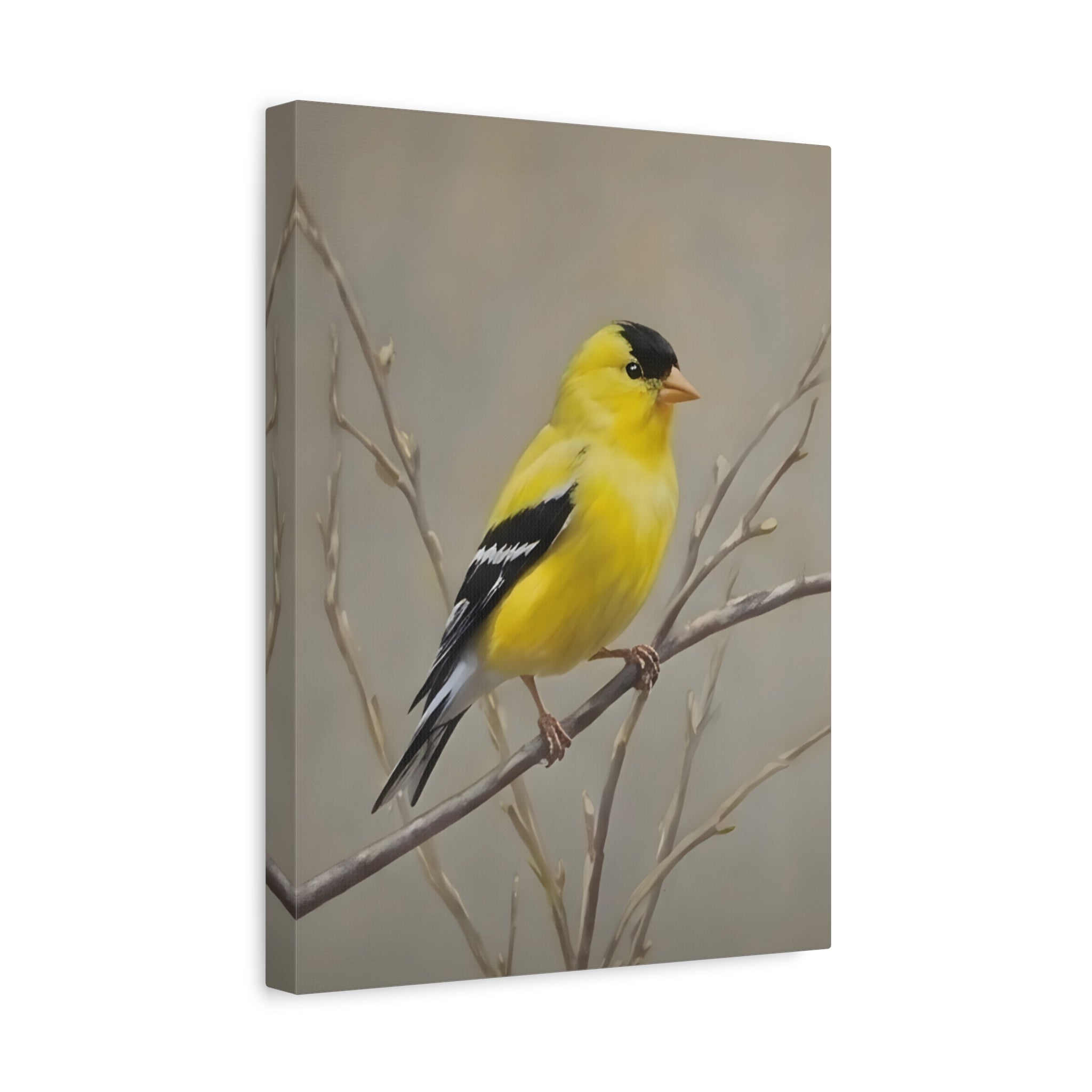 Putter Muurkunst Canvas — Gele Zangvogel Schilderij op Tak, Mat Gespannen Canvas