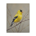 Putter Muurkunst Canvas — Gele Zangvogel Schilderij op Tak, Mat Gespannen Canvas