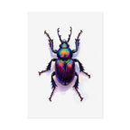 Iridescent Beetle Wall Art – Poster