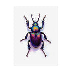 Iridescent Beetle Wall Art – Poster