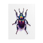 Iridescent Beetle Wall Art – Poster