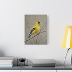 Putter Muurkunst Canvas — Gele Zangvogel Schilderij op Tak, Mat Gespannen Canvas