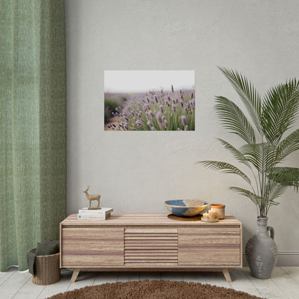 Lavender Field Wall Art – Poster