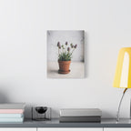 Potted Alpine Dodgegrass Wall Art – Stretched Canvas