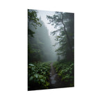 Misty Forest Path  Stretched Wall Art - Poster