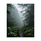 Misty Forest Path  Stretched Wall Art - Poster