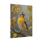 Goldfinch on a branch Wall Art - Poster
