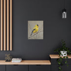 Putter Muurkunst Canvas — Gele Zangvogel Schilderij op Tak, Mat Gespannen Canvas