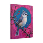 Blue jay on a holly branch Wall Art - Stretched Canvas