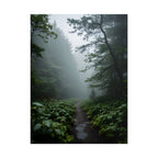 Misty Forest Path  Stretched Wall Art - Poster