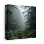 Misty Forest Path  Stretched Wall Art - Canvas Print