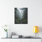 Misty Forest Path  Stretched Wall Art - Canvas Print
