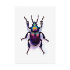 Iridescent Beetle Wall Art – Poster