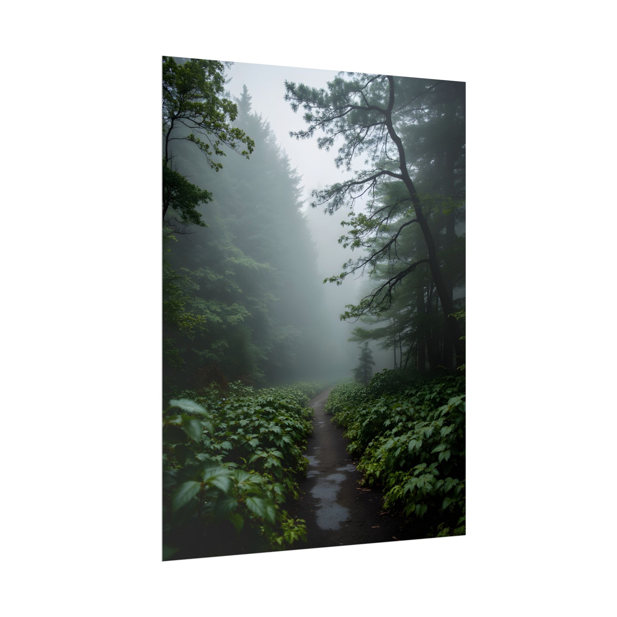 Misty Forest Path  Stretched Wall Art - Poster