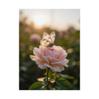 Butterfly on Pink Rose Wall Art - Poster