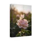 Butterfly on Pink Rose Wall Art - Stretched Canvas
