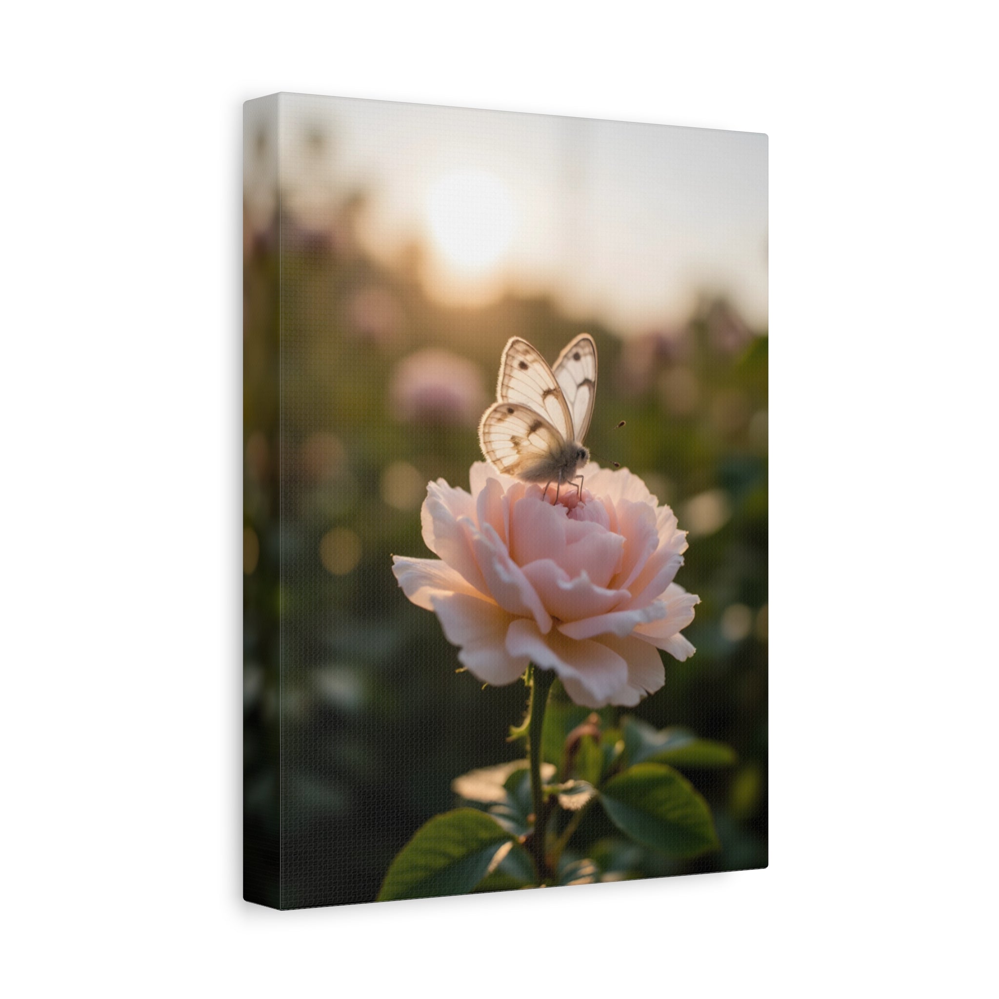Butterfly on Pink Rose Wall Art - Stretched Canvas