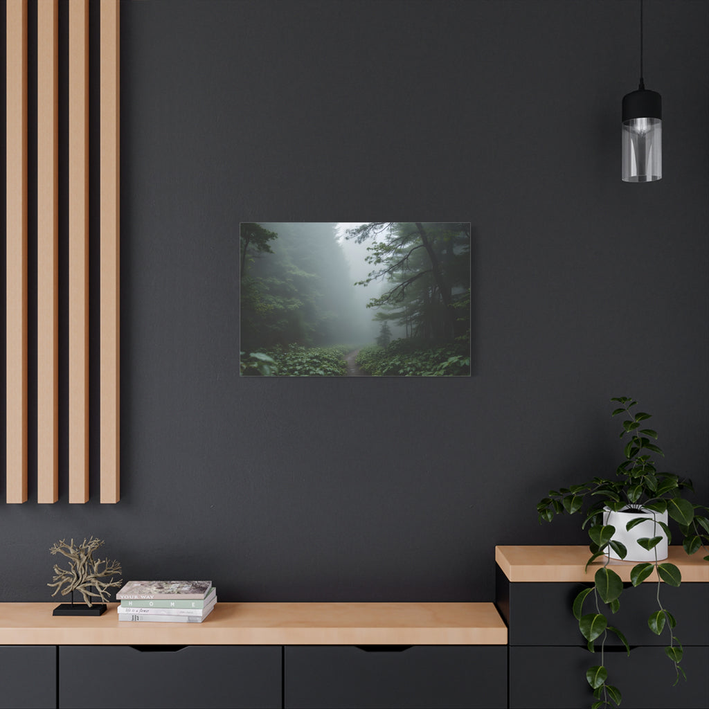 Misty Forest Path  Stretched Wall Art - Canvas Print