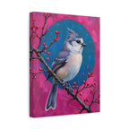 Blue jay on a holly branch Wall Art - Stretched Canvas