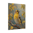 Goldfinch on a branch Wall Art - Poster