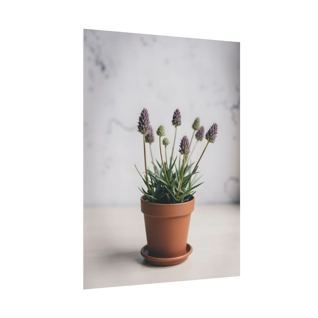 Potted Alpine Dodgegrass Wall Art – Poster