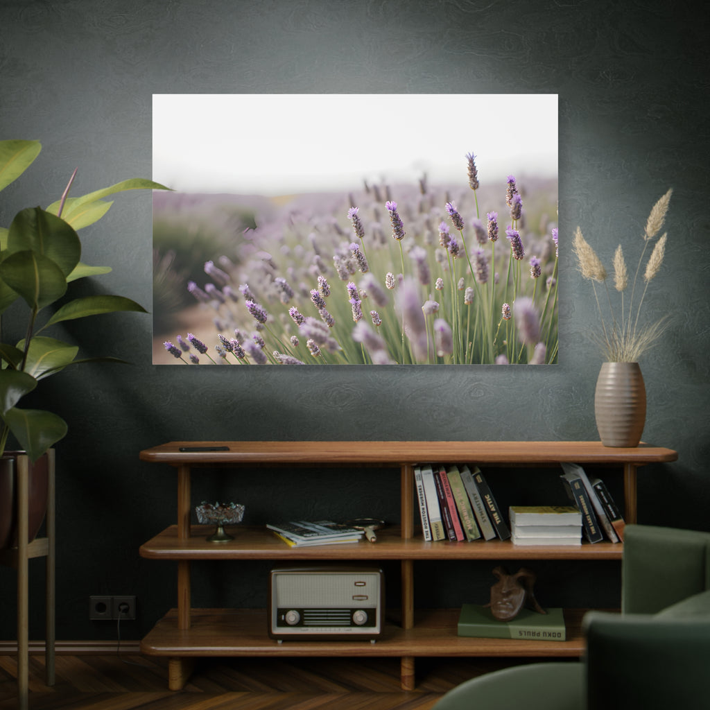Lavender Field Wall Art – Stretched Canvas