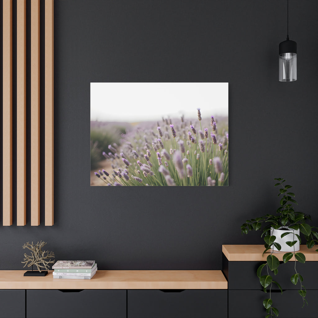 Lavender Field Wall Art – Stretched Canvas