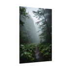 Misty Forest Path  Stretched Wall Art - Poster
