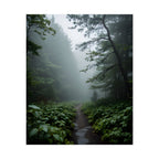 Misty Forest Path  Stretched Wall Art - Poster