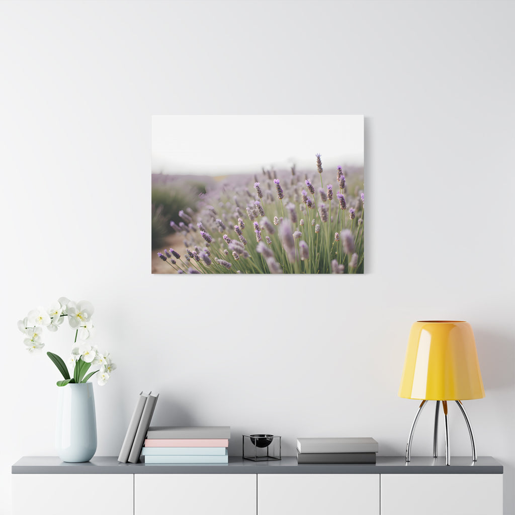 Lavender Field Wall Art – Stretched Canvas
