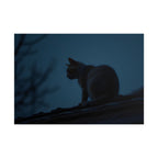 Nightwatch Cat Wall Art - Poster