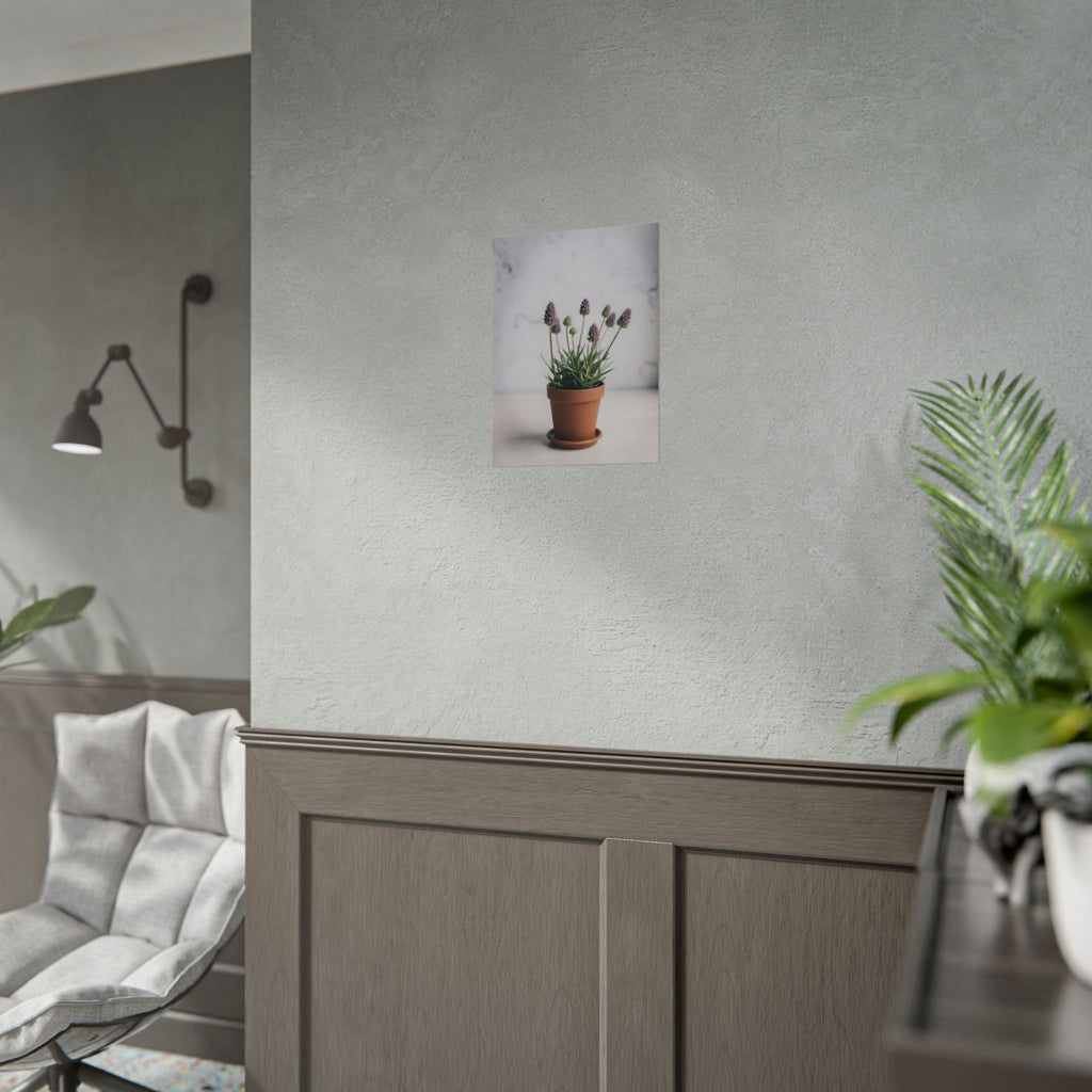 Potted Alpine Dodgegrass Wall Art – Poster