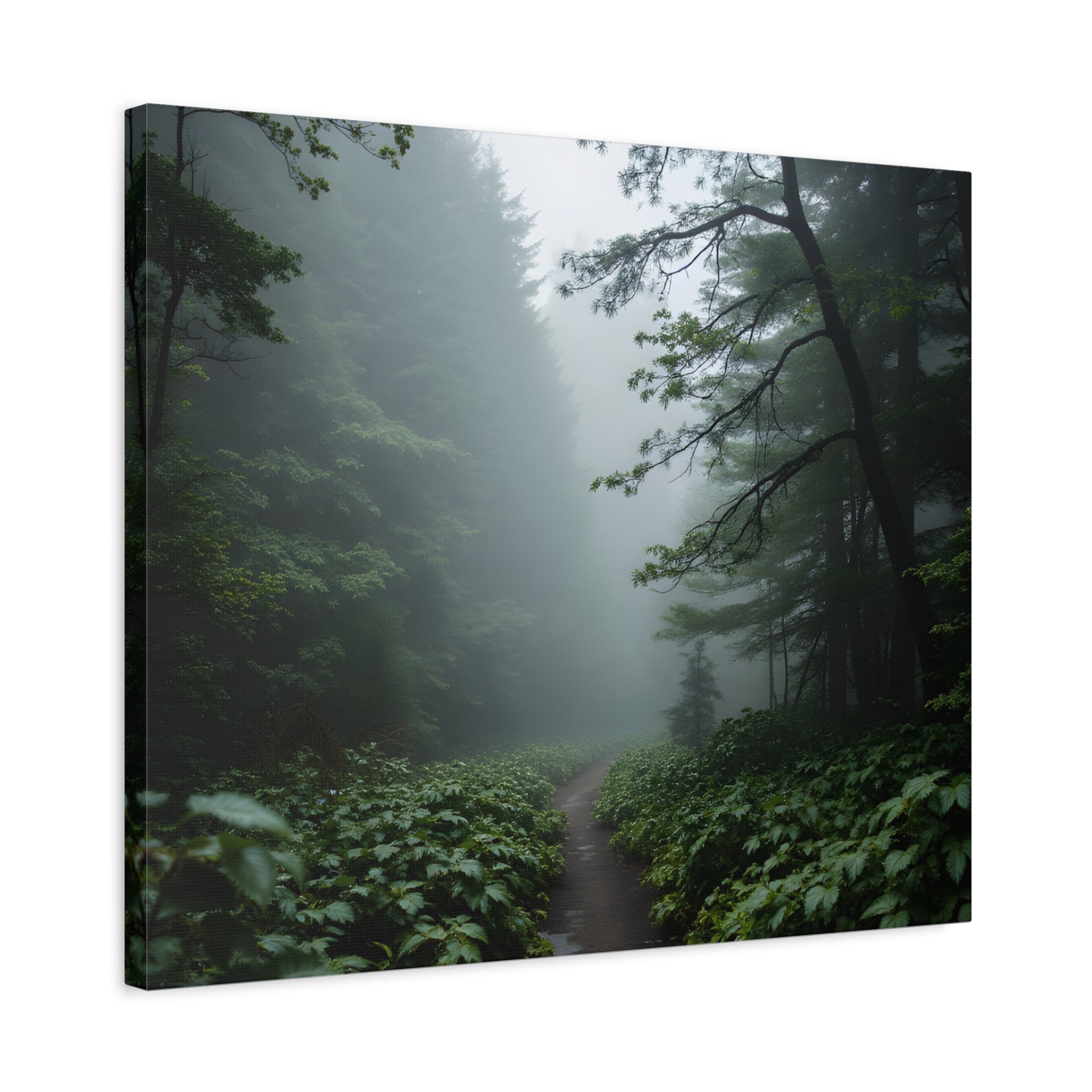 Misty Forest Path  Stretched Wall Art - Canvas Print