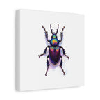 Iridescent Beetle Wall Art – Stretched Canvas