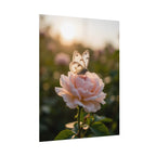 Butterfly on Pink Rose Wall Art - Poster