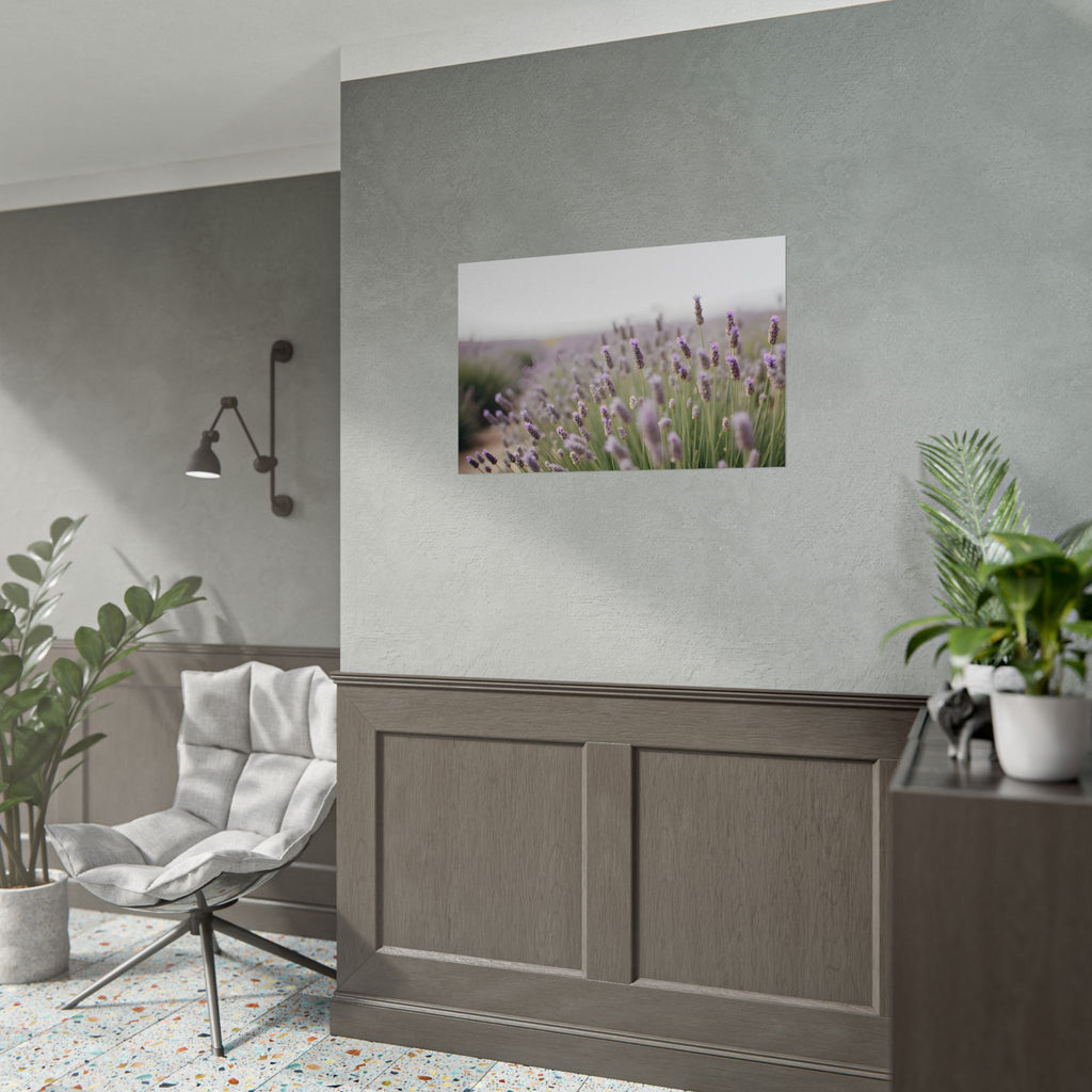 Lavender Field Wall Art – Poster