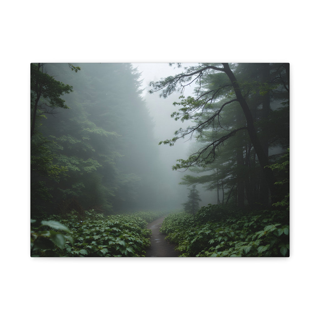 Misty Forest Path  Stretched Wall Art - Canvas Print
