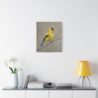 Putter Muurkunst Canvas — Gele Zangvogel Schilderij op Tak, Mat Gespannen Canvas