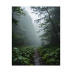 Misty Forest Path  Stretched Wall Art - Poster