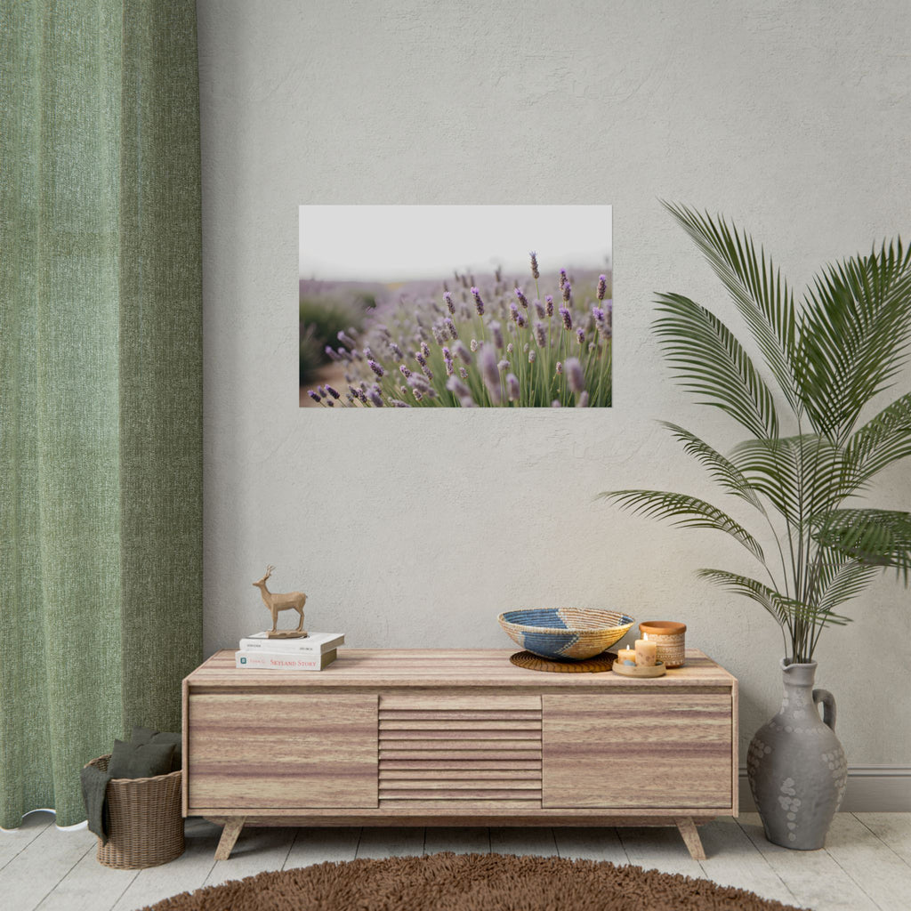 Lavender Field Wall Art – Poster
