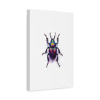 Iridescent Beetle Wall Art – Stretched Canvas