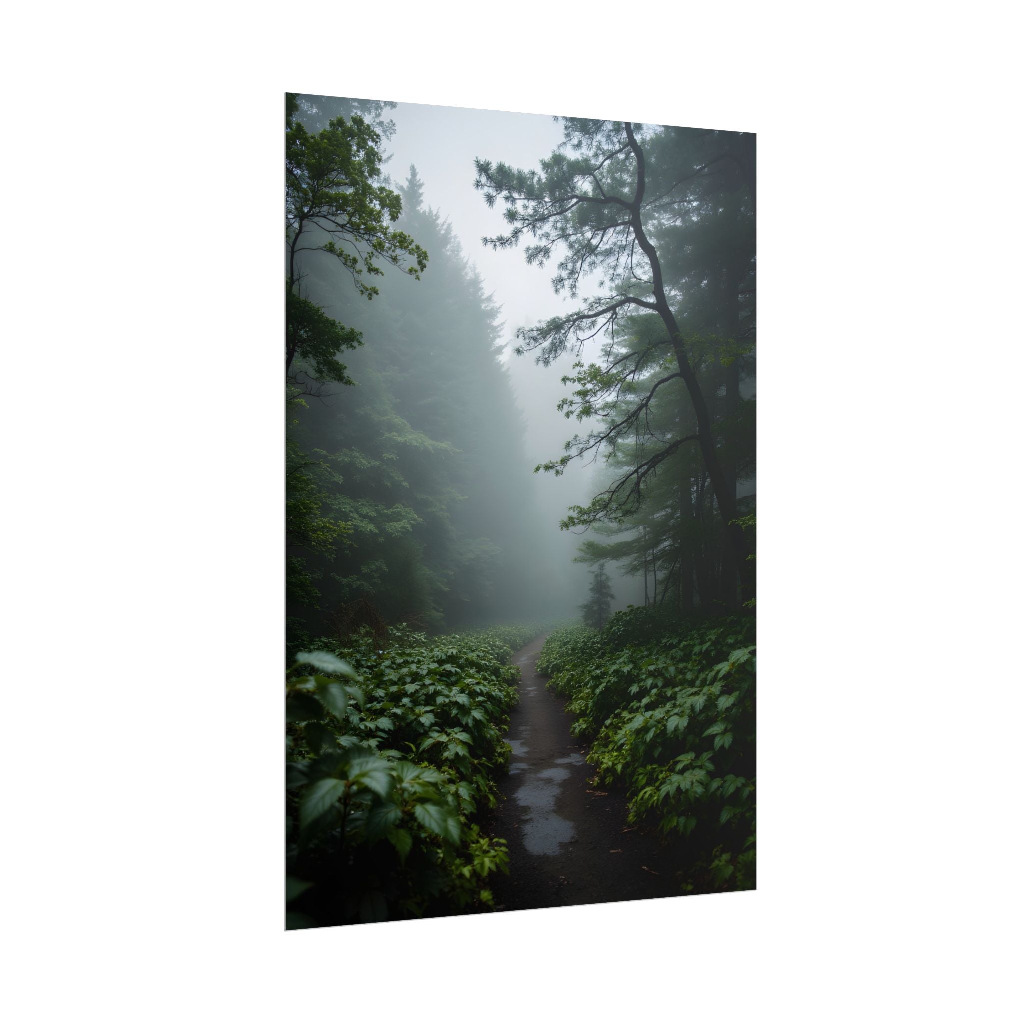 Misty Forest Path  Stretched Wall Art - Poster