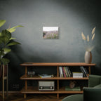 Lavender Field Wall Art – Stretched Canvas