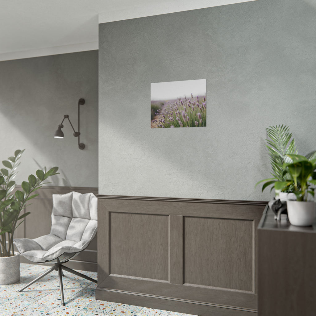 Lavender Field Wall Art – Poster