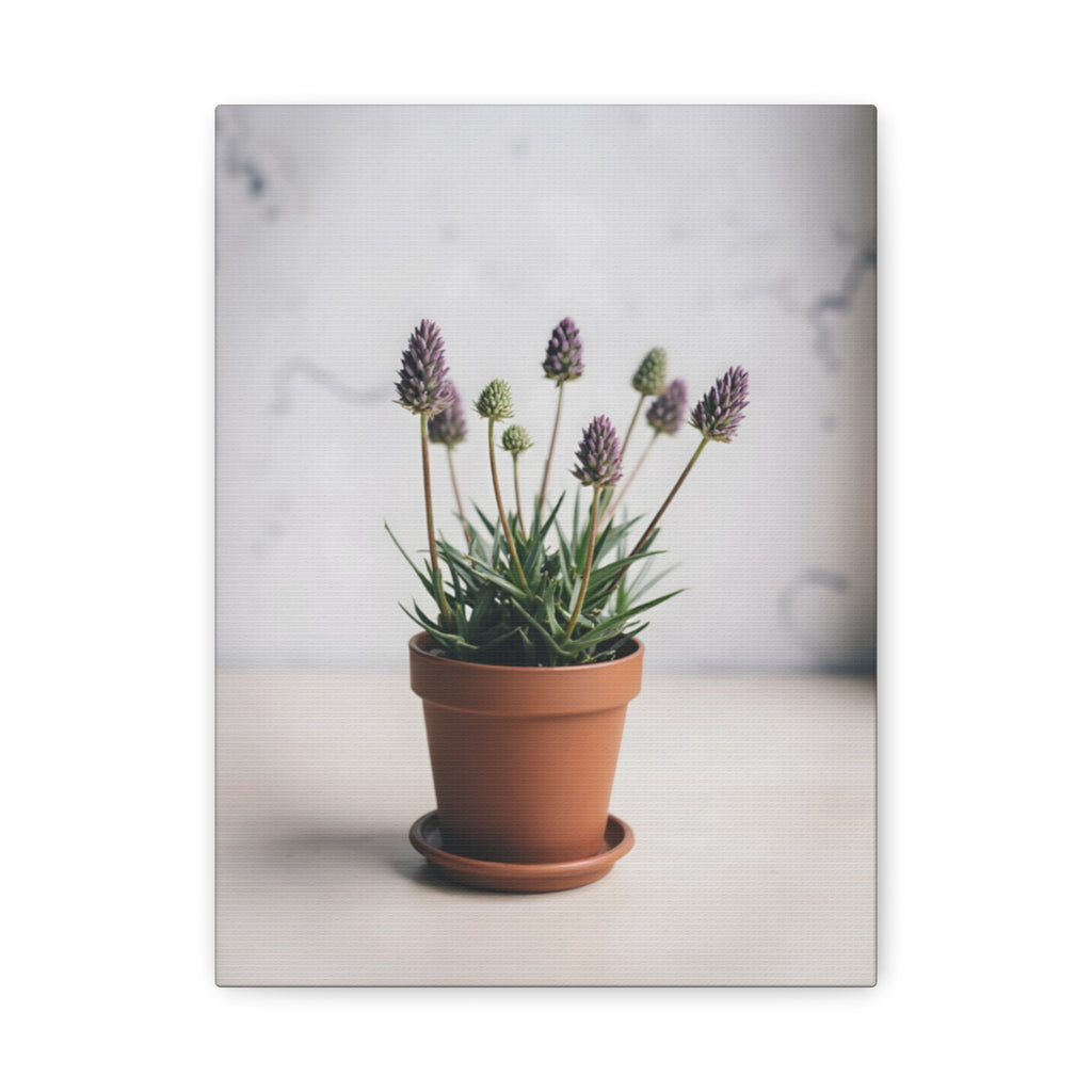 Potted Alpine Dodgegrass Wall Art – Stretched Canvas