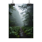 Misty Forest Path  Stretched Wall Art - Poster