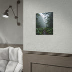 Misty Forest Path  Stretched Wall Art - Poster