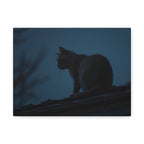 Nightwatch Cat Wall Art - Stretched canvas